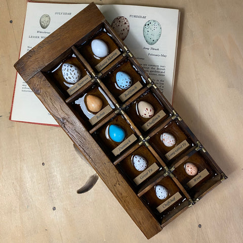 #315 Garden Bird Eggs