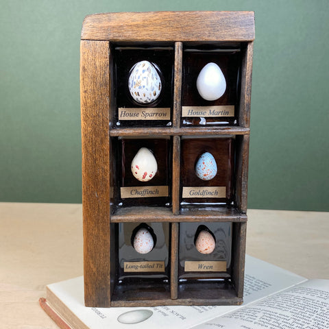 #370 Garden Bird Eggs