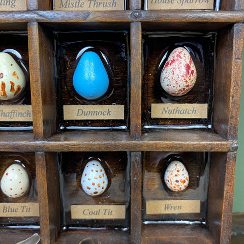 #271 Garden Bird Eggs