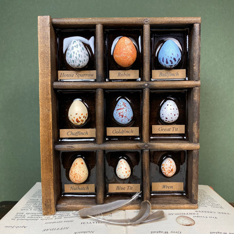 #272 Garden Bird Eggs