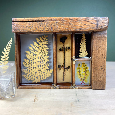 #416 Garden Ferns