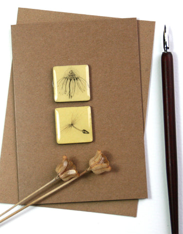Art Card - Two Tiles, Echinacea, Dandelion Seed
