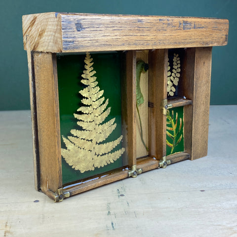 #567 Garden Ferns
