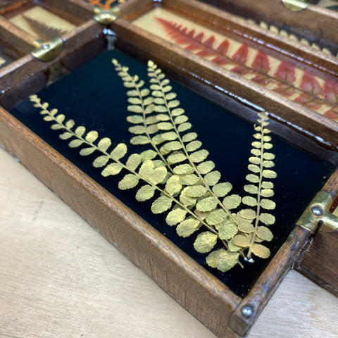 #448 Garden Ferns - Large Piece
