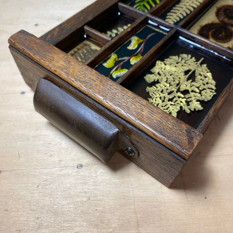#447 Garden Ferns - Large Piece