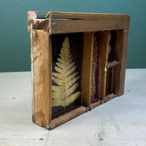 #533 Garden Ferns