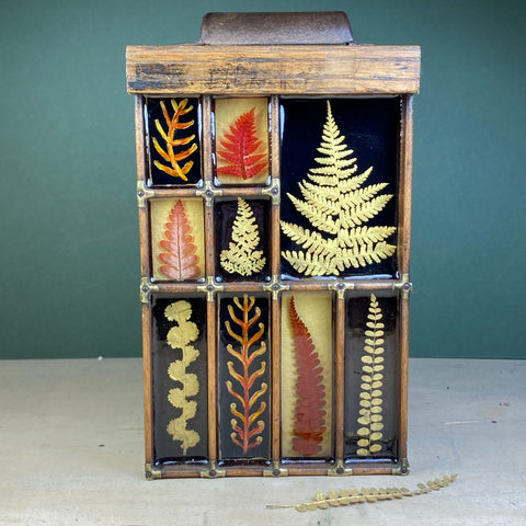 #470 Garden Ferns