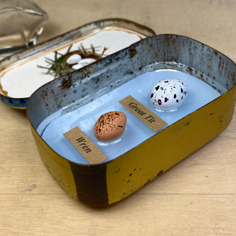 #010 Bird Eggs Vintage Tin