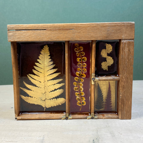 #533 Garden Ferns