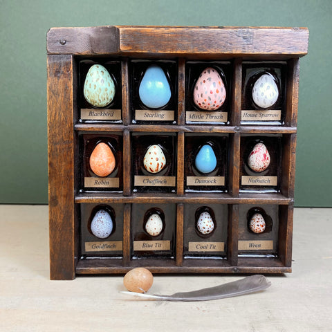 #271 Garden Bird Eggs