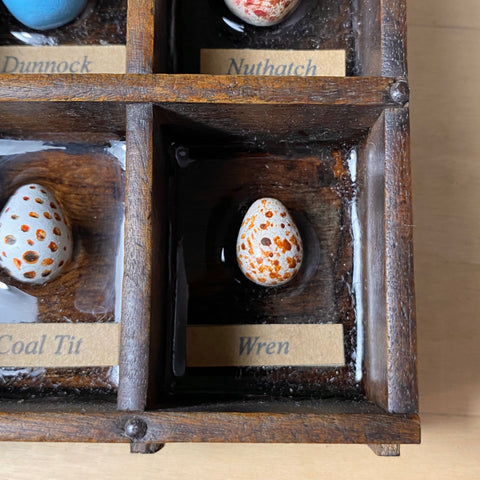 #271 Garden Bird Eggs