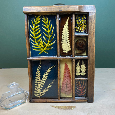 #449 Garden Ferns
