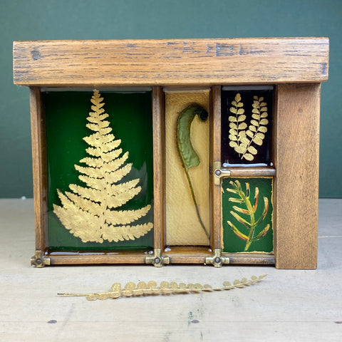 #567 Garden Ferns