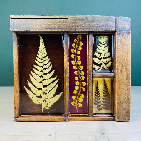 #571 Garden Ferns