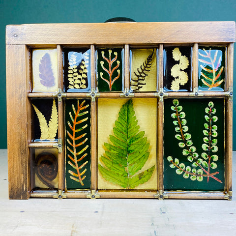 #585 Garden Ferns