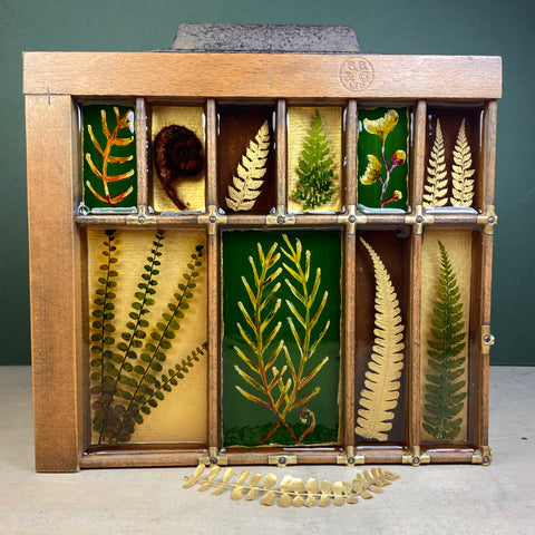 #609 Garden Ferns