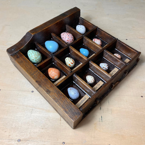 #271 Garden Bird Eggs