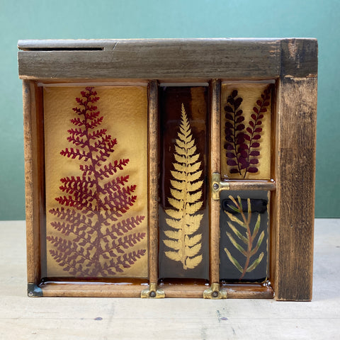 #542 Garden Ferns