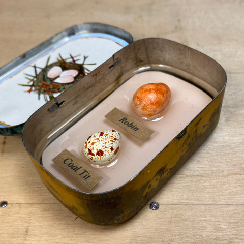 #022 Bird Eggs Vintage Tin