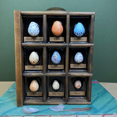 #272 Garden Bird Eggs