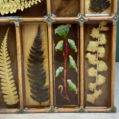 #248 Garden Ferns