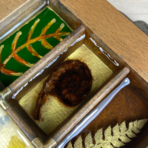 #609 Garden Ferns
