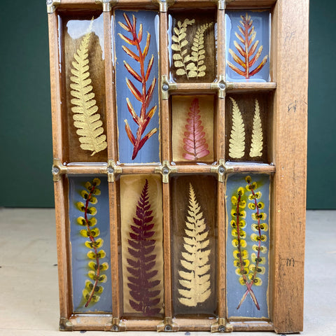 #406 Garden Ferns