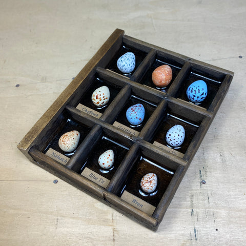 #272 Garden Bird Eggs
