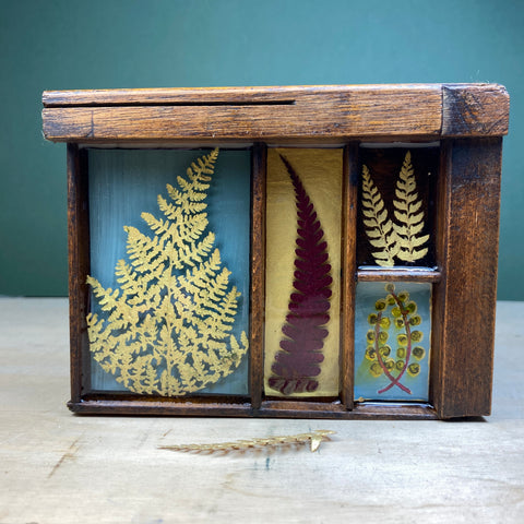 #445 Garden Ferns