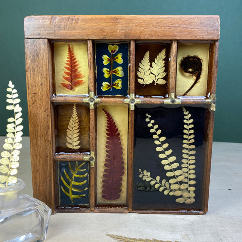 #457 Garden Ferns