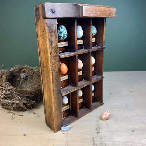 #599 Garden Bird Eggs