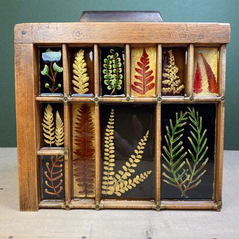 #534 Garden Ferns