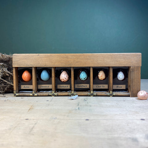 #606 Garden Bird Eggs