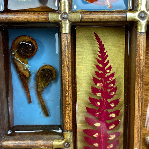 #360 Garden Ferns