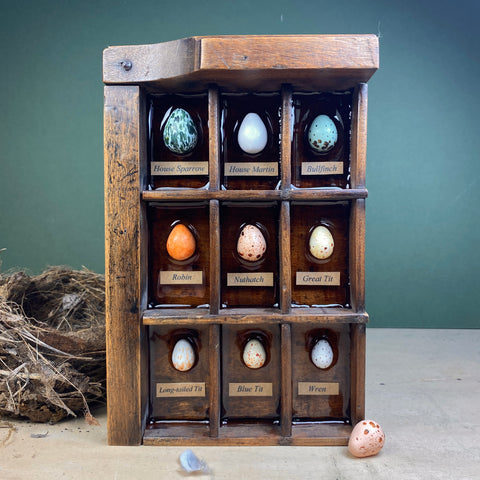 #599 Garden Bird Eggs