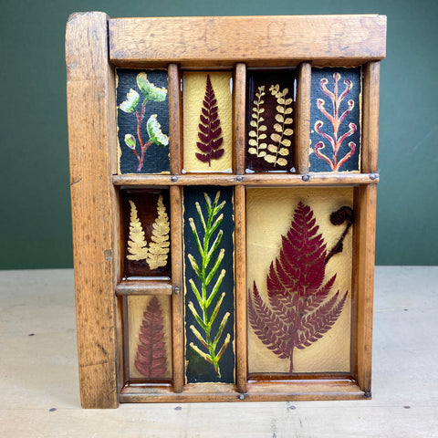 #569 Garden Ferns