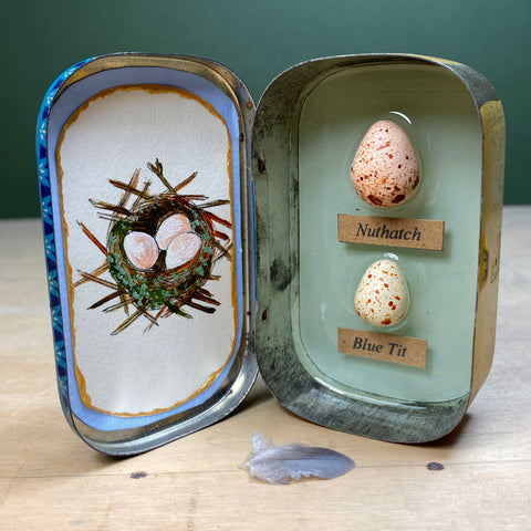 #020 Bird Eggs Vintage Tin