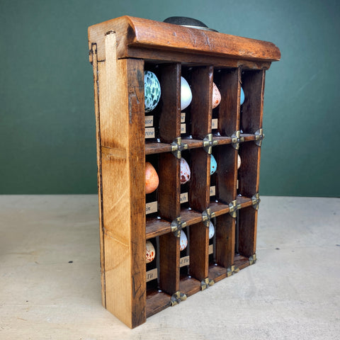 #601 Garden Bird Eggs
