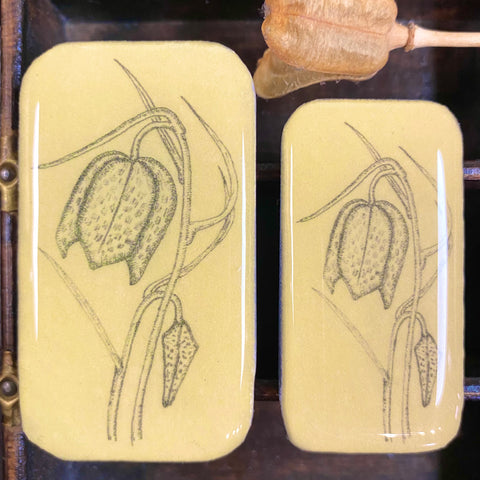 Tin Only Fritillary