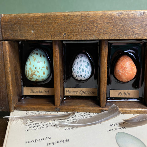 #273 Garden Bird Eggs