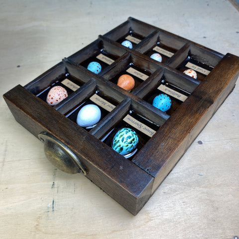 #605 Garden Bird Eggs