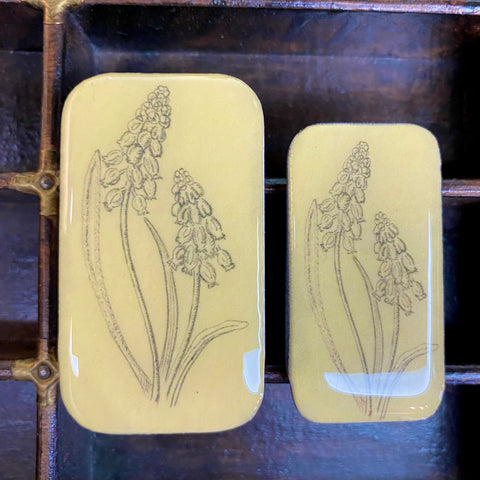 Tin Only Muscari