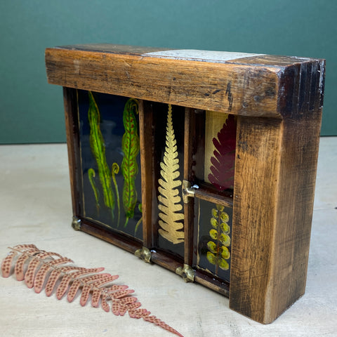#528 Garden Ferns