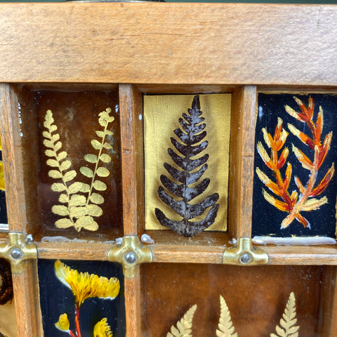 #377 Garden Ferns
