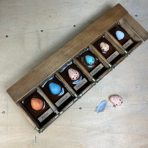 #606 Garden Bird Eggs