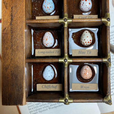 #324 Garden Bird Eggs