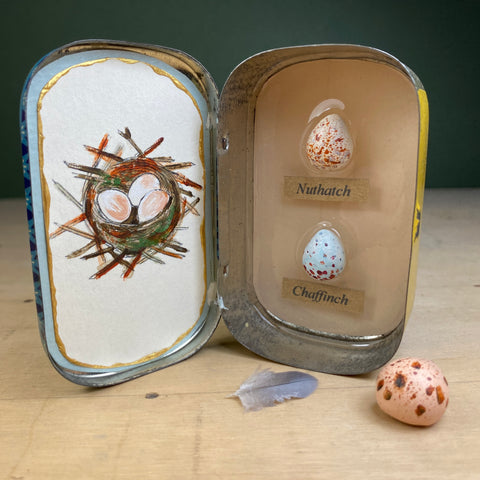 #016 Bird Eggs Vintage Tin