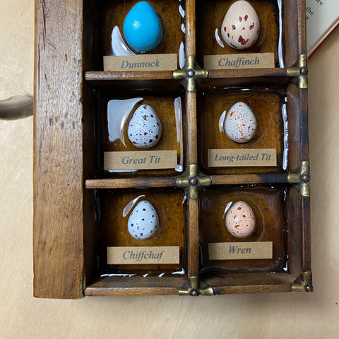 #315 Garden Bird Eggs