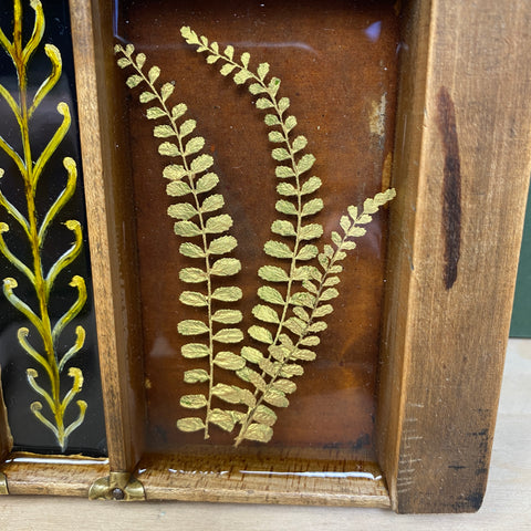 #529 Garden Ferns - Large Piece