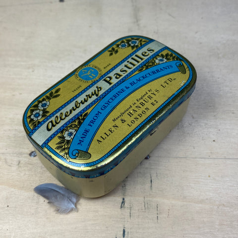 #008 Bird Eggs Vintage Tin